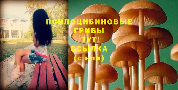 MESCALINE Арсеньев