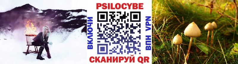 Псилоцибиновые грибы Psilocybine cubensis  Озёрск 